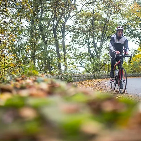Hotel Valkenburg By Mercure - Next To Shimano Experience Center Valkenburg aan de Geul
