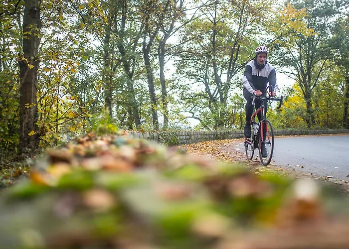 Hotel Valkenburg By Mercure - Next To Shimano Experience Center Valkenburg aan de Geul